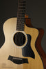 Taylor 254ce Plus 12-String Acoustic Electric Guitar - New