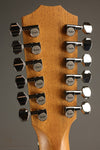 Taylor 254ce Plus 12-String Acoustic Electric Guitar - New