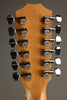 Taylor 254ce Plus 12-String Acoustic Electric Guitar - New