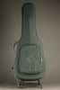 Taylor 254ce Plus 12-String Acoustic Electric Guitar - New