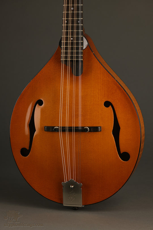 Northfield The Quickstep NFM-M5 Mandola - New