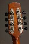Northfield The Quickstep NFM-M5 Mandola - New