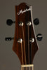 KR Strings Mandolindo Custom Deluxe Mandolin - New
