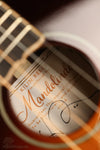 KR Strings Mandolindo Custom Deluxe Mandolin - New