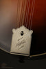 Northfield S Series NFS-F5A LTD Mandolin - New