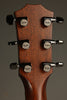Taylor 814ce Acoustic Electric Guitar - New