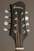 Eastman MD305 Mandolin - New