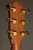 Taylor 514ce Legacy Acoustic Electric Guitar - New