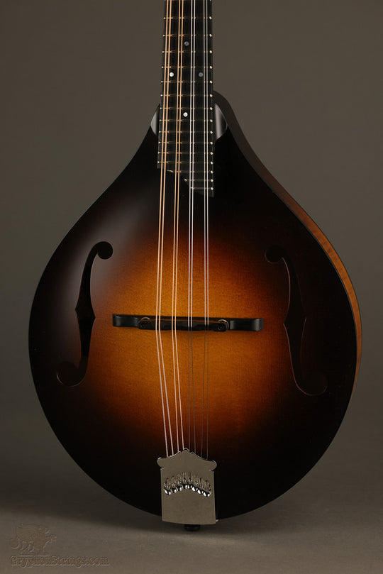 Collings MT Mandolin - New