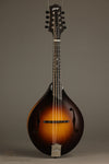 Collings MT Mandolin - New
