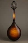 Collings MT Mandolin - New