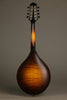 Collings MT Mandolin - New