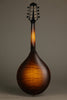 Collings MT Mandolin - New
