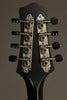 Collings MT Mandolin - New