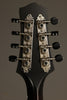 Collings MT Mandolin - New
