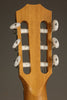 Taylor 214ce-N Nylon String Acoustic Electric Guitar - New
