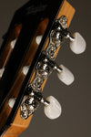 Taylor 812ce-N Nylon String Acoustic Electric Guitar - New