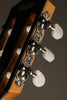 Taylor 812ce-N Nylon String Acoustic Electric Guitar - New