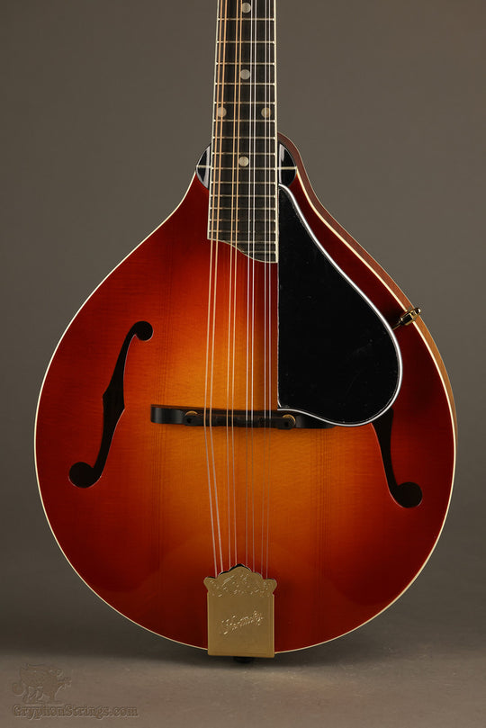 Kentucky KM-505 Mandolin - New
