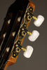New World P640S Spruce Classical Guitar - New