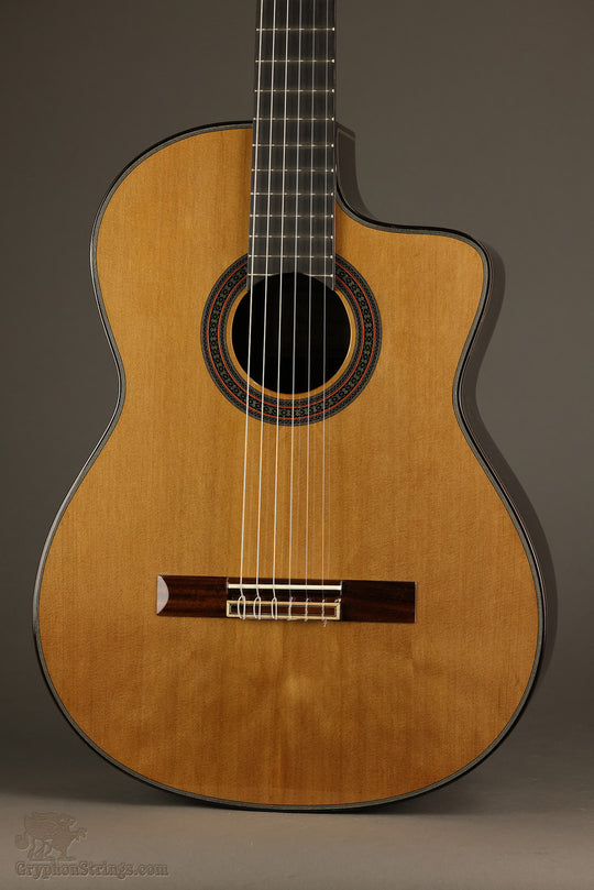 New World Player P650 Cedar Fingerstyle Classical Guitar - New