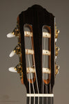 New World Player P650 Cedar Fingerstyle Classical Guitar - New