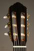 New World Player P650 Cedar Fingerstyle Classical Guitar - New