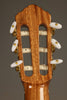 New World Player P650 Cedar Fingerstyle Classical Guitar - New