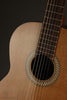 Kremona S65C Nylon String Acoustic Guitar - New