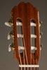 Kremona S65C Nylon String Acoustic Guitar - New