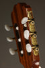 Kremona F65C Soloist Classical Guitar - New