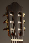 Kremona Sofia SC-T Classical Guitar - New