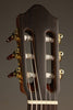 Kremona Sofia SC-T Classical Guitar - New