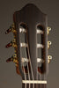 Kremona Sofia SC-T Classical Guitar - New