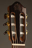 Kremona Fiesta FC Classical Guitar - New