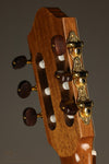 Kremona Fiesta FC Classical Guitar - New