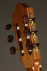 Kremona Fiesta FC Classical Guitar - New