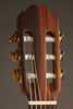 Kremona Sofia S63CW Nylon String Acoustic Electric Guitar - New