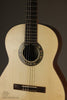 Kremona Rosa Morena Flamenco Guitar - New