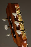 Kremona Rosa Morena Flamenco Guitar - New