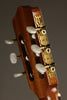 Kremona Rosa Morena Flamenco Guitar - New