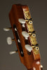Kremona Rosa Morena Flamenco Guitar - New