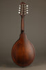 Eastman MD304 Mandolin - New
