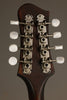 Eastman MD304 Mandolin - New