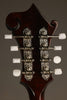 Eastman MD514-BK-LTD Mandolin - New