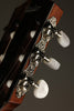 Taylor 312ce-N Acoustic Electric Nylon String Guitar - New