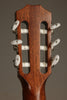 Taylor 312ce-N Acoustic Electric Nylon String Guitar - New