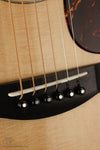 Santa Cruz Guitar Co. Tony Rice D Acoustic Guitar - New
