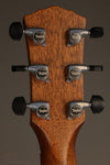 Taylor Gold Label 814e Super Auditorium Steel String Acoustic Guitar - New
