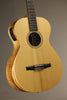Taylor Academy 12e-N LTD Nylon String Acoustic Electric Guitar - New